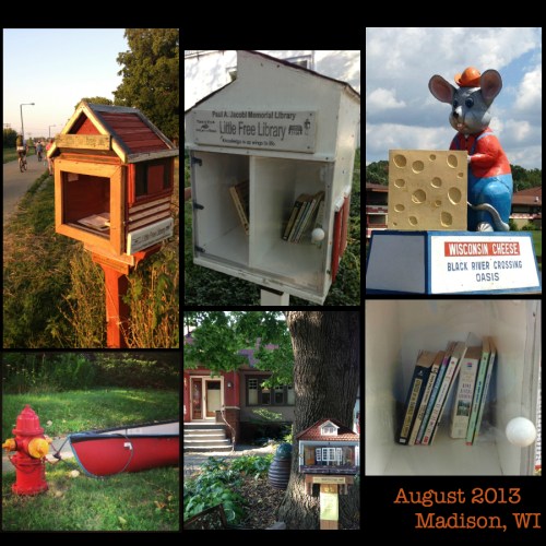 Madison Wisconsin//aesthetic snafu