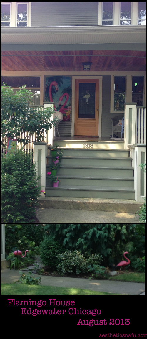 Flamingo House Edgewater Chicago