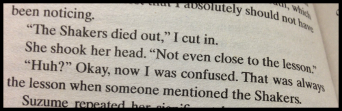Quote from a book - the lesson you need to know about the Shakers is that they all died out.