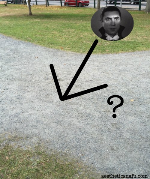 potential location for Woodstock Vermont vampire burial